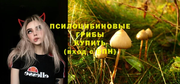 гашишное масло Ладушкин